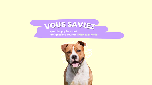Médailles digitales pour animaux Yuli and friends