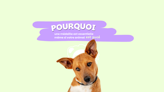Médaille pour animaux - yuli and friends