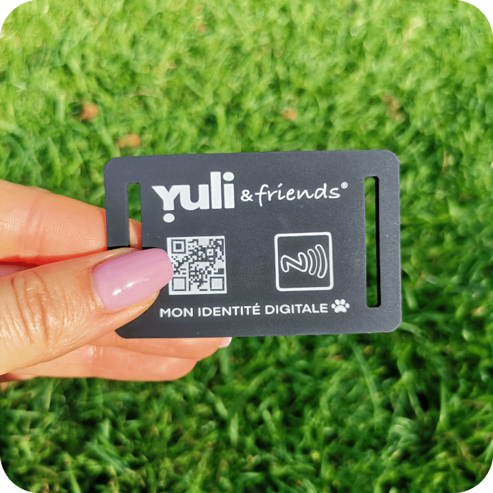 Yuli &friends Silicone