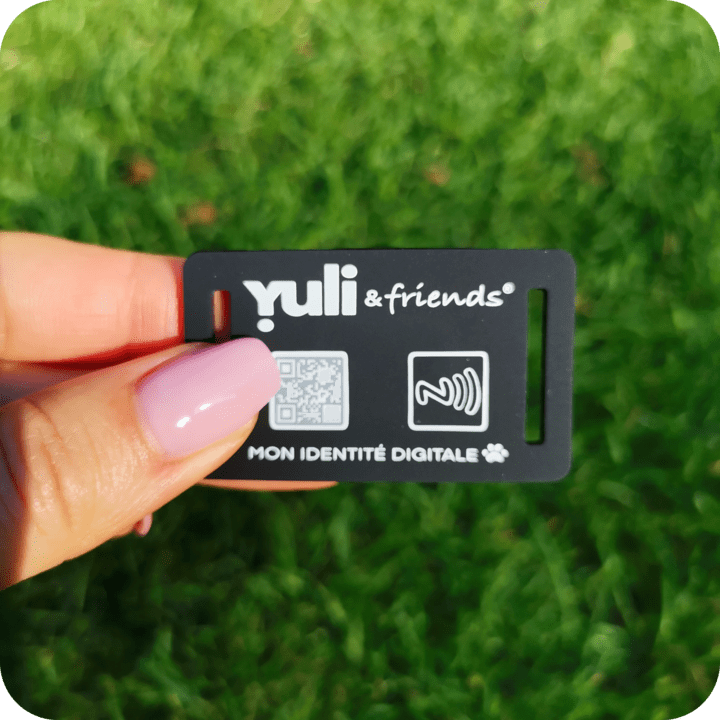 Yuli &friends Silicone