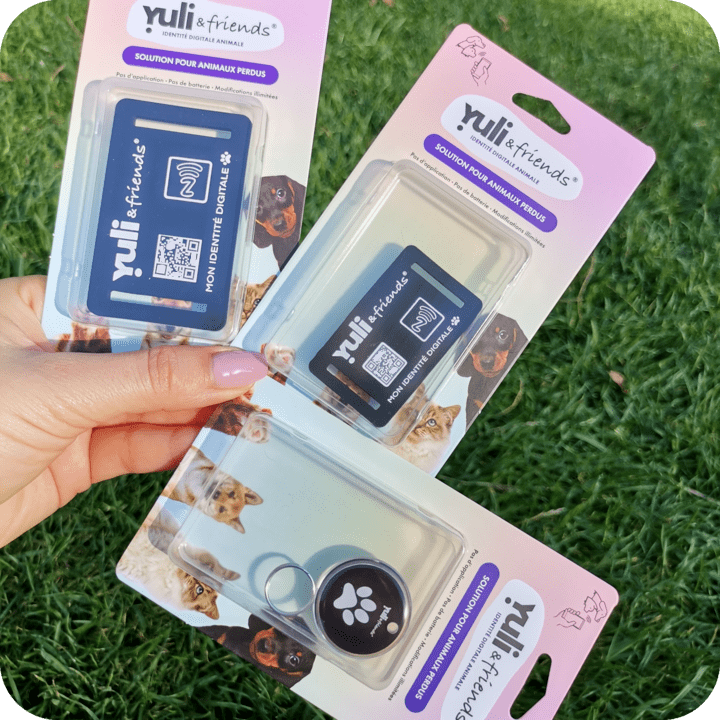 Yuli &friends Silicone