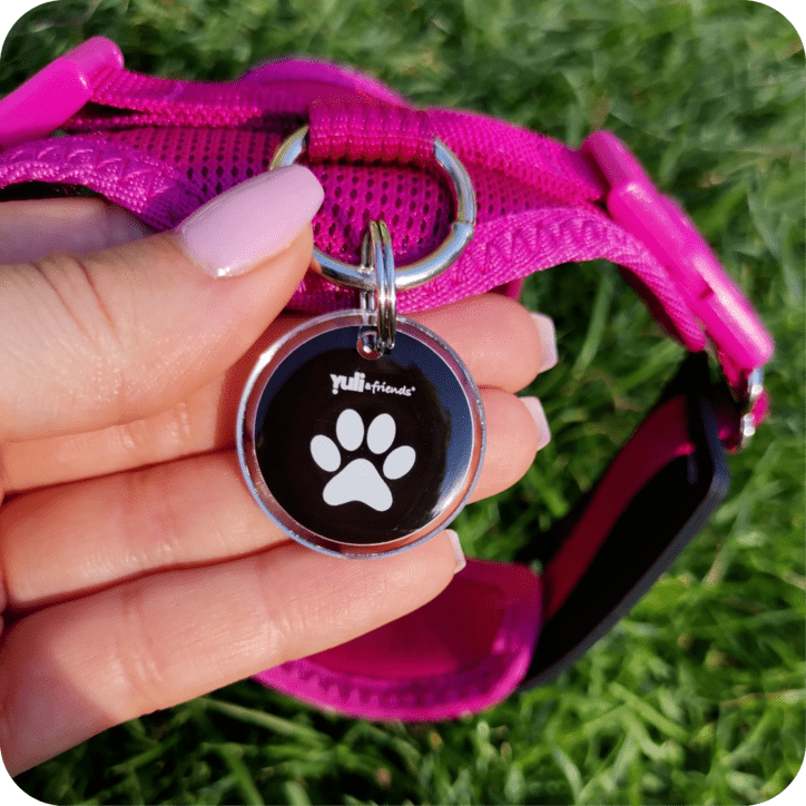 Yuli & Friends Médaille