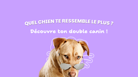 Chien - médaille yuli&friends