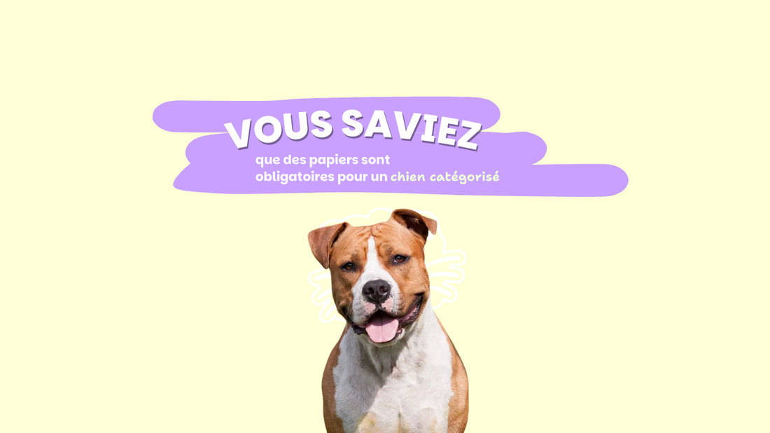 Médailles digitales pour animaux Yuli and friends