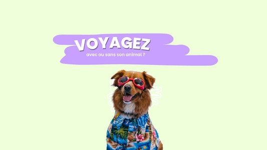 Médaille digitales - yuli and friends