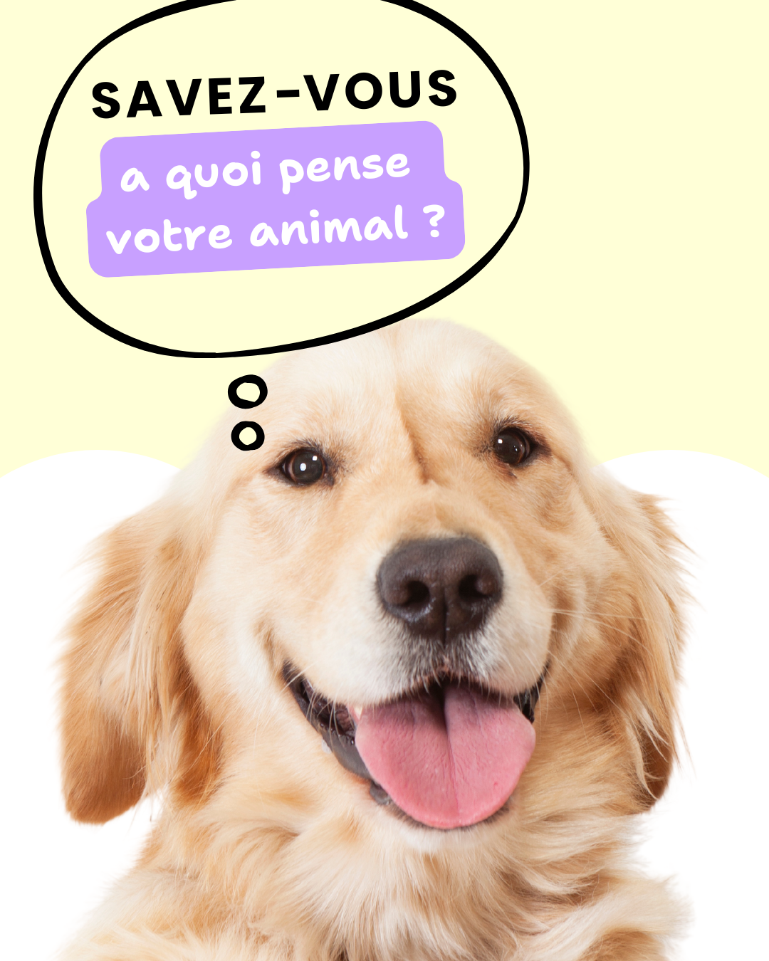  la médaille Yuli and Friends pour chien 