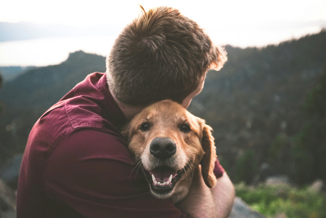 Top 20 des citations d'amour pour son chien